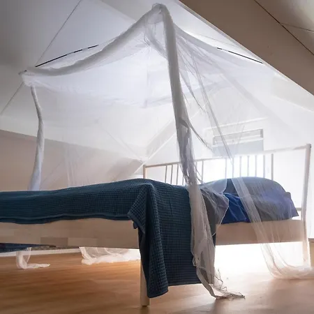 Tulpenhoek Bed and breakfast 3*