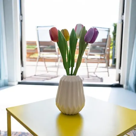 Tulpenhoek Alojamento de Acomodação e Pequeno-almoço 3*